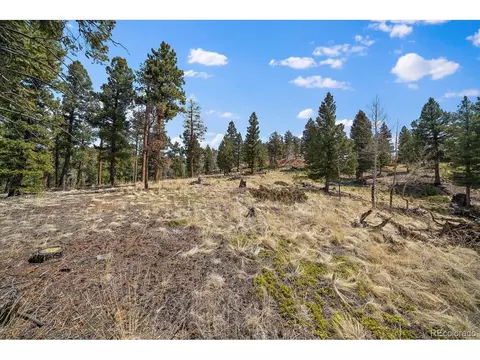 1435 Hitchrack Rd, Bailey, CO 80421 photo 18