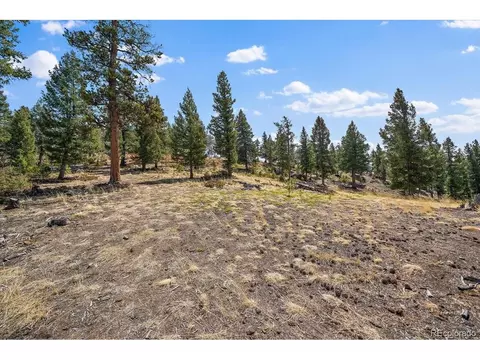 1435 Hitchrack Rd, Bailey, CO 80421 photo 19