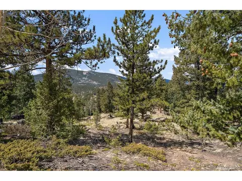 1435 Hitchrack Rd, Bailey, CO 80421 photo 12