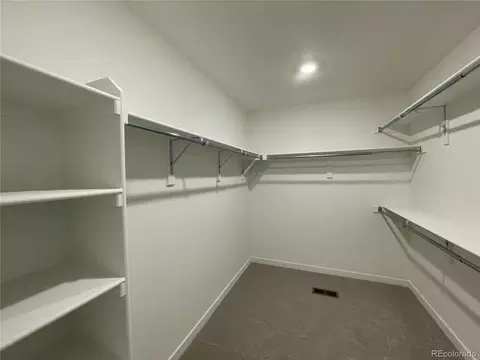 5552 Mcaffee St, Timnath, CO 80547 photo 8