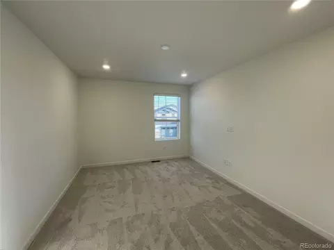 5552 Mcaffee St, Timnath, CO 80547 photo 4