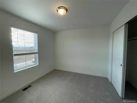 5552 Mcaffee St, Timnath, CO 80547 photo 9