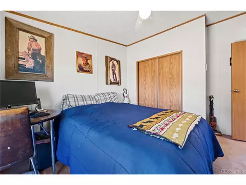 91 Harmon Ln, Cotopaxi, CO 81223 photo 31