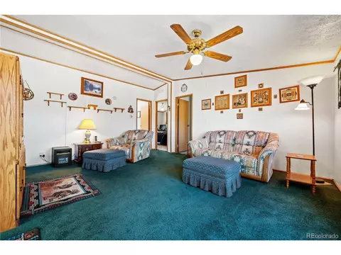 91 Harmon Ln, Cotopaxi, CO 81223 photo 17