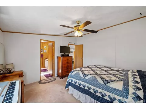 91 Harmon Ln, Cotopaxi, CO 81223 photo 22