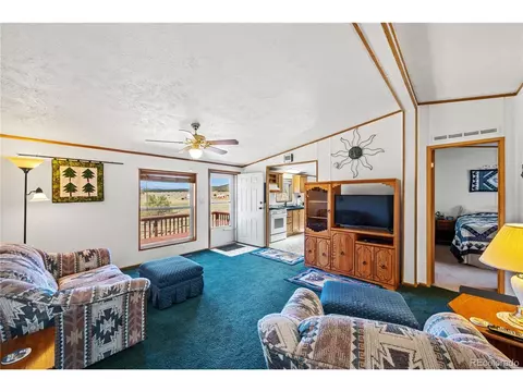 91 Harmon Ln, Cotopaxi, CO 81223 photo 19
