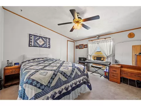 91 Harmon Ln, Cotopaxi, CO 81223 photo 20