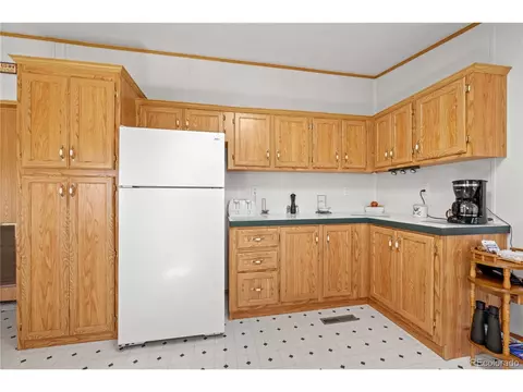 91 Harmon Ln, Cotopaxi, CO 81223 photo 13