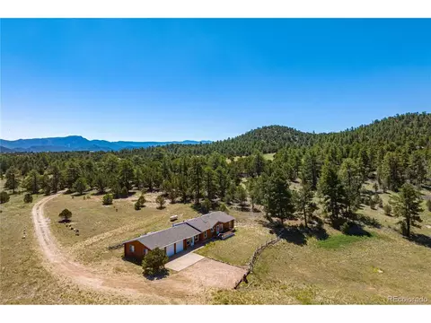 91 Harmon Ln, Cotopaxi, CO 81223 photo 11