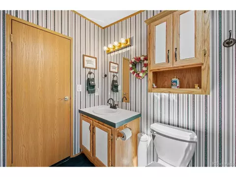 91 Harmon Ln, Cotopaxi, CO 81223 photo 29