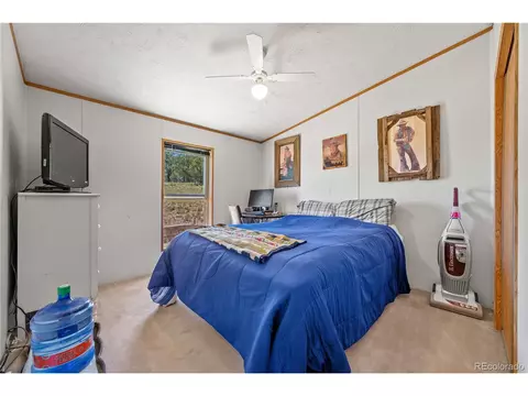 91 Harmon Ln, Cotopaxi, CO 81223 photo 30