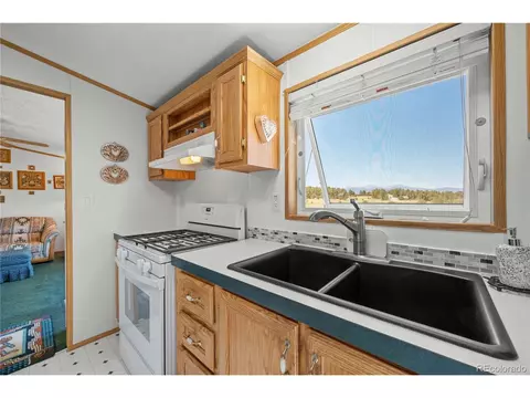 91 Harmon Ln, Cotopaxi, CO 81223 photo 14