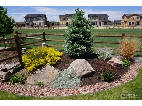 8460 Allenbrook Dr, Windsor, CO 80550 photo 3