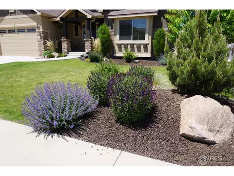 8460 Allenbrook Dr, Windsor, CO 80550 photo 2