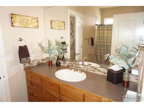 8460 Allenbrook Dr, Windsor, CO 80550 photo 15