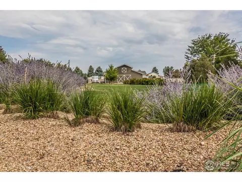 6735 Alexander Dr, Windsor, CO 80550 photo 38