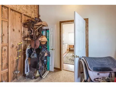 6735 Alexander Dr, Windsor, CO 80550 photo 35