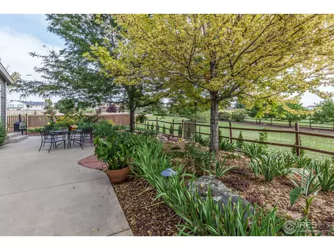 6735 Alexander Dr, Windsor, CO 80550 photo 29