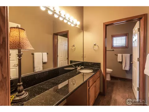 6735 Alexander Dr, Windsor, CO 80550 photo 21