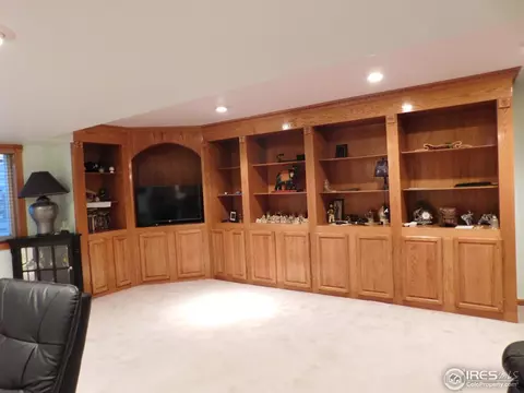 2381 E 126th Loop, Thornton, CO 80241 photo 22