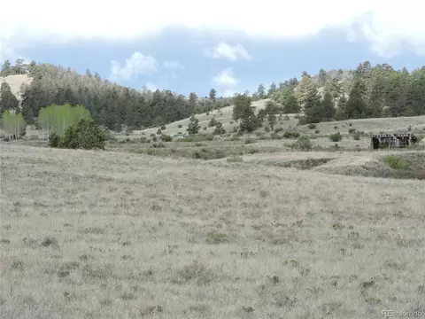 61 Hill Rd, Hartsel, CO 80449