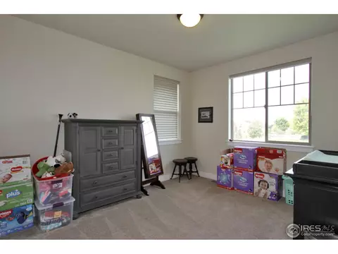 6524 E 162nd Dr, Brighton, CO 80602 photo 22