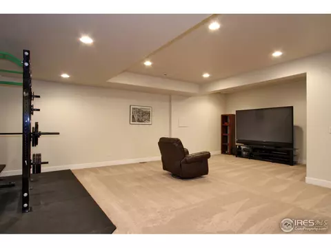6524 E 162nd Dr, Brighton, CO 80602 photo 21