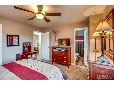 1110 Valley Pl, Windsor, CO 80550 photo 16