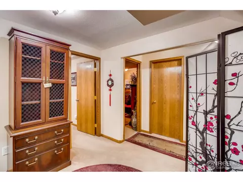 1110 Valley Pl, Windsor, CO 80550 photo 22