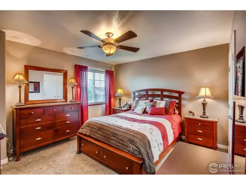 1110 Valley Pl, Windsor, CO 80550 photo 15