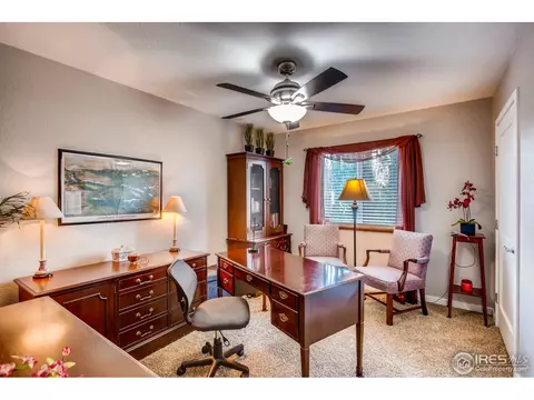 1110 Valley Pl, Windsor, CO 80550 photo 19