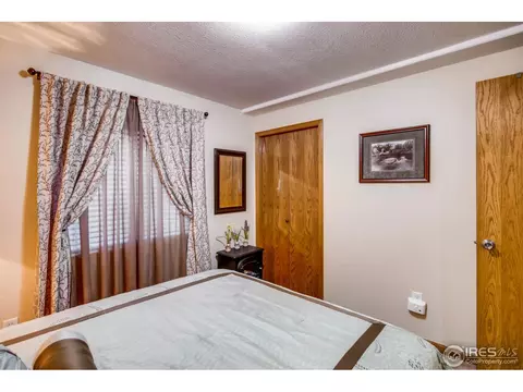 1110 Valley Pl, Windsor, CO 80550 photo 23