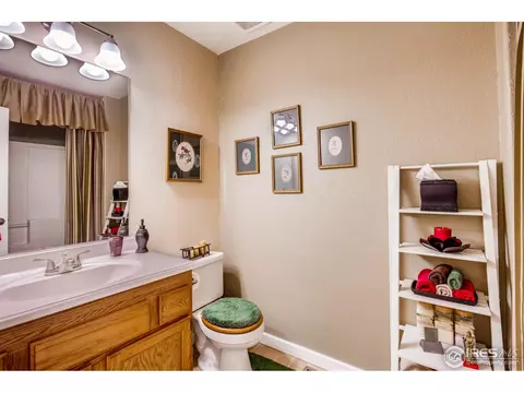 1110 Valley Pl, Windsor, CO 80550 photo 20