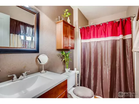 1110 Valley Pl, Windsor, CO 80550 photo 17