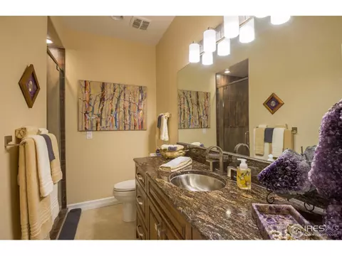 37131 Soaring Eagle Cir, Severance, CO 80550 photo 18