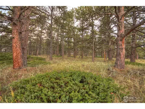 238 Valley Rd, Lyons, CO 80540 photo 22