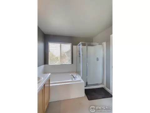 6518 Silverleaf Ct, Firestone, CO 80504 photo 19