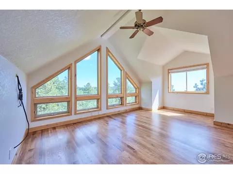 18 Spur Ct, Ward, CO 80481 photo 12