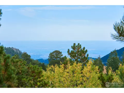 18 Spur Ct, Ward, CO 80481 photo 27