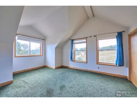 18 Spur Ct, Ward, CO 80481 photo 19