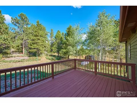 18 Spur Ct, Ward, CO 80481 photo 25