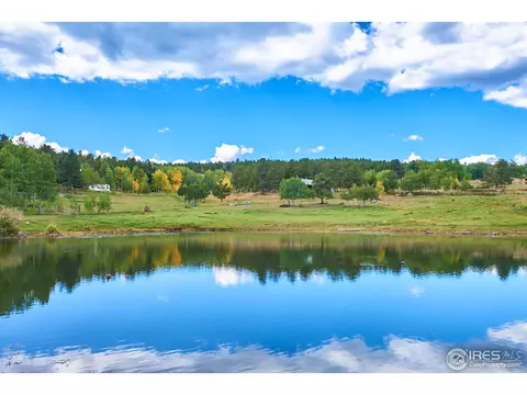 18 Spur Ct, Ward, CO 80481 photo 30