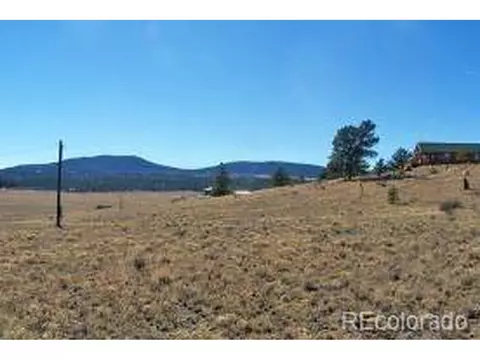 529 Bridle Path, Hartsel, CO 80449 photo 3