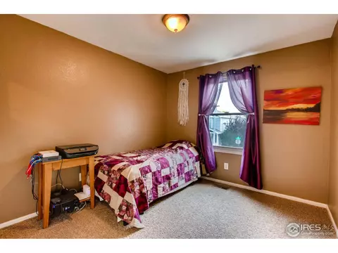 10129 Eudora Ct, Thornton, CO 80229 photo 18