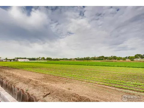 10129 Eudora Ct, Thornton, CO 80229 photo 26