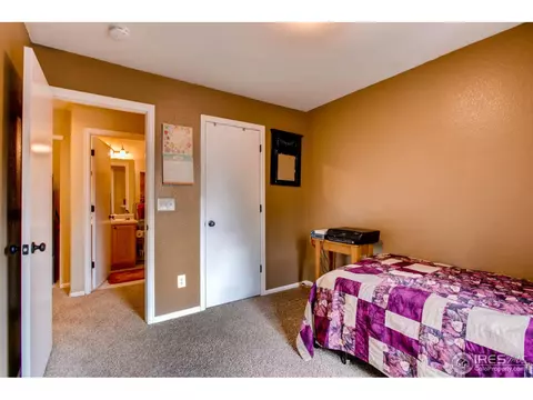 10129 Eudora Ct, Thornton, CO 80229 photo 19
