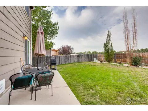 10129 Eudora Ct, Thornton, CO 80229 photo 23
