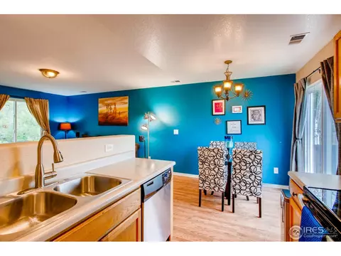 10129 Eudora Ct, Thornton, CO 80229 photo 10