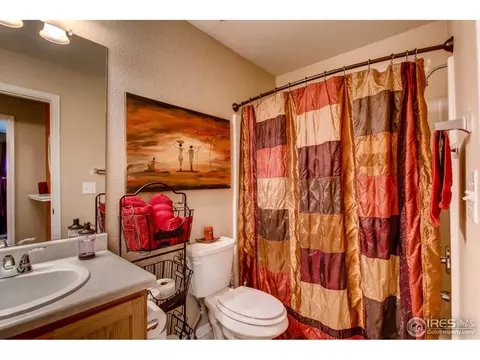 10129 Eudora Ct, Thornton, CO 80229 photo 20