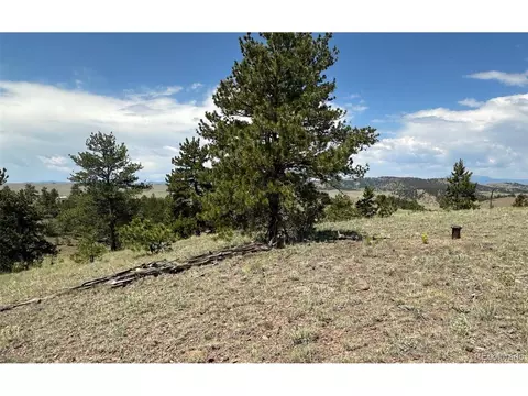 25 Wolfe Rd, Hartsel, CO 80449 photo 2